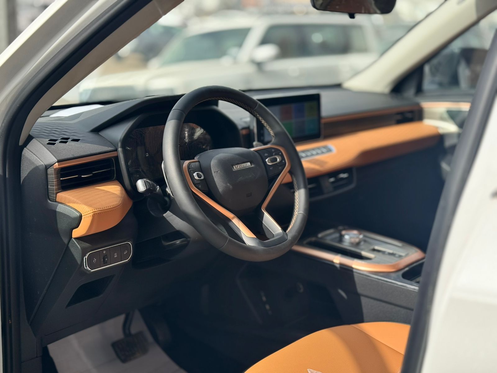 هافال جوليان أكتيف 2026 - 5