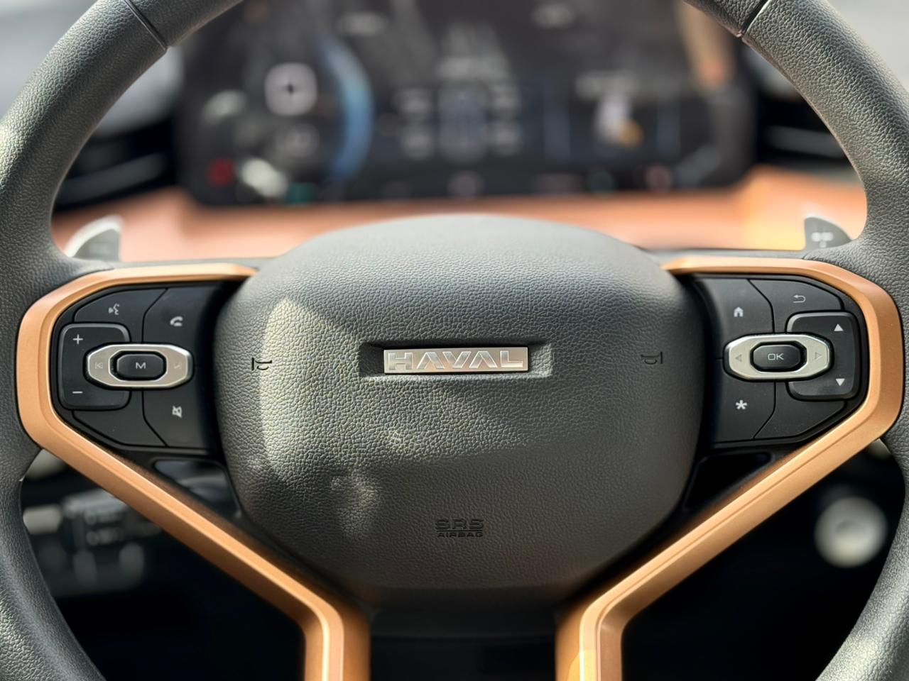 هافال H6 بيسك 2025 - 6